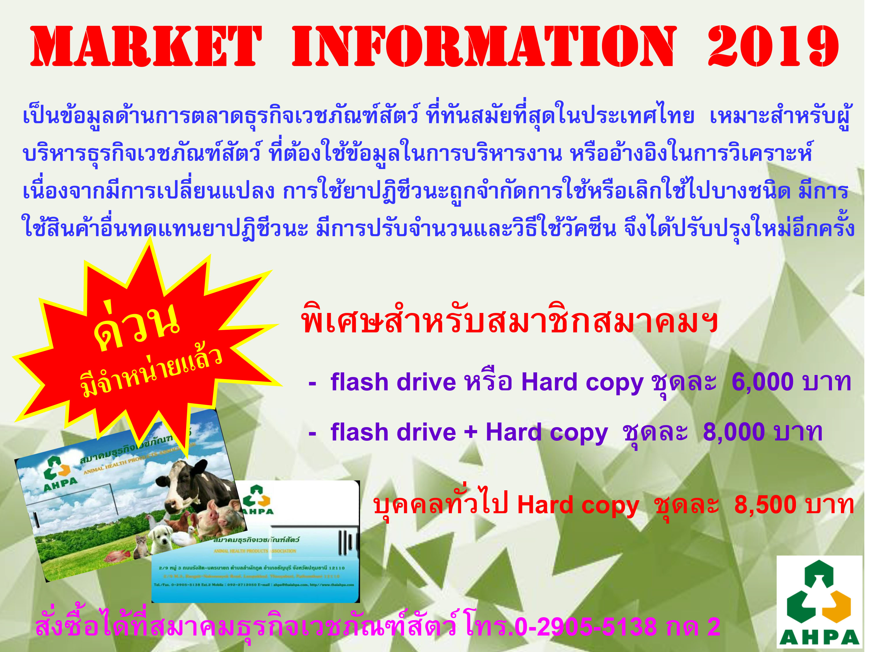 Market Information 2019